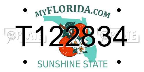 T122834 Florida License Plate