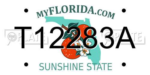 T12283A Florida License Plate
