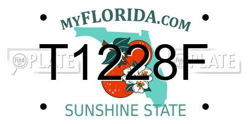 T1228F Florida License Plate