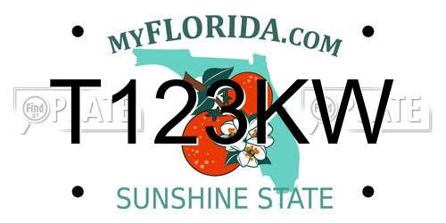T123KW Florida License Plate