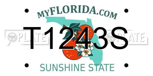 T1243S Florida License Plate