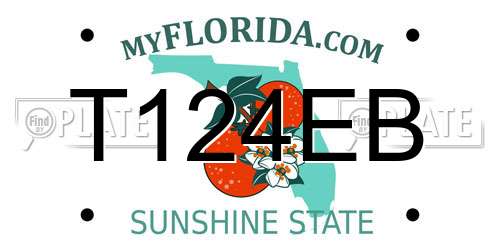 T124EB Florida License Plate