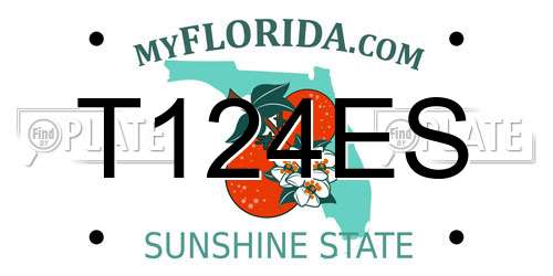 T124ES Florida License Plate
