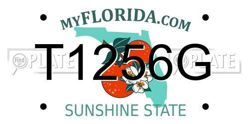 T1256G Florida License Plate