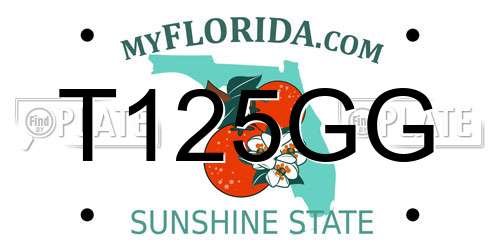 T125GG Florida License Plate