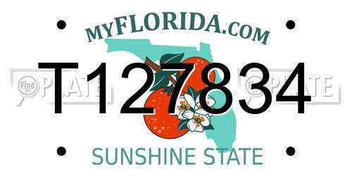 T127834 Florida License Plate