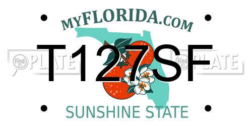 T127SF Florida License Plate