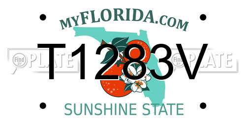 T1283V Florida License Plate