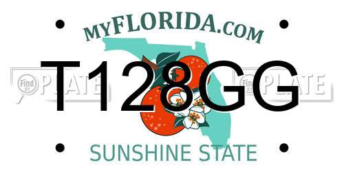 T128GG Florida License Plate