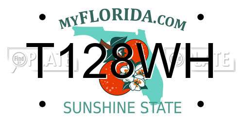 T128WH Florida License Plate
