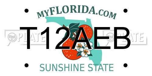T12AEB Florida License Plate