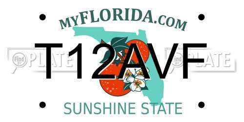T12AVF Florida License Plate