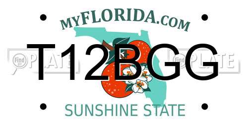 T12BGG Florida License Plate