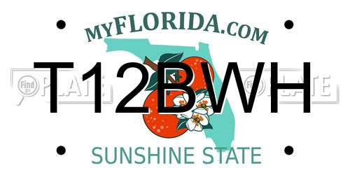 T12BWH Florida License Plate