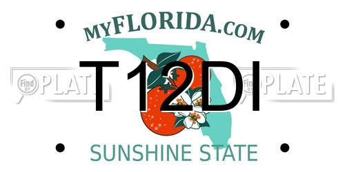 T12DI Florida License Plate