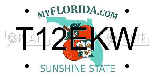 T12EKW Florida License Plate