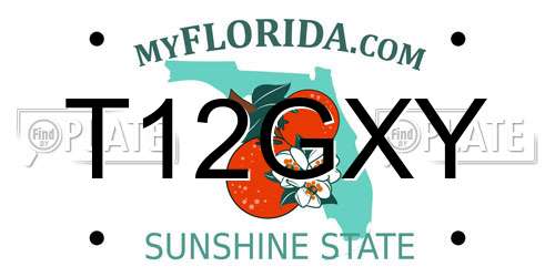 T12GXY Florida License Plate