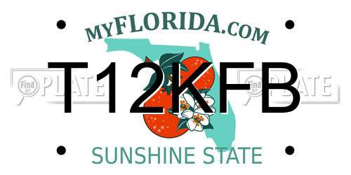 T12KFB Florida License Plate