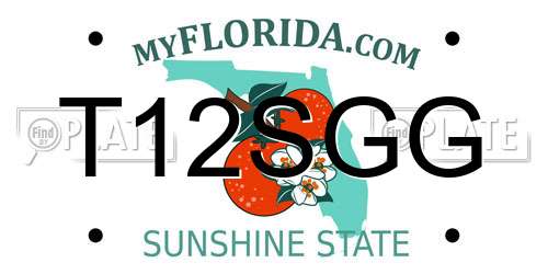 T12SGG Florida License Plate