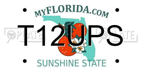 T12UPS Florida License Plate