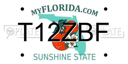 T12ZBF Florida License Plate
