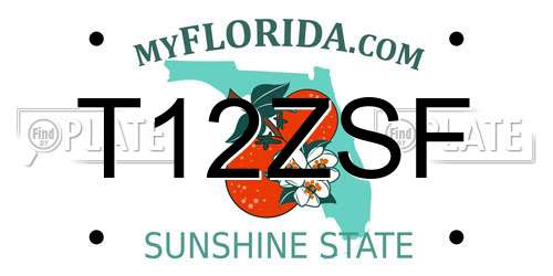 T12ZSF Florida License Plate