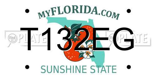 T132EG Florida License Plate