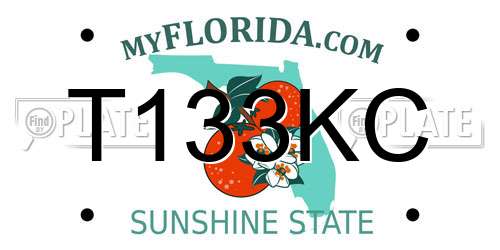 T133KC Florida License Plate