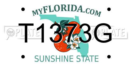 T1373G Florida License Plate