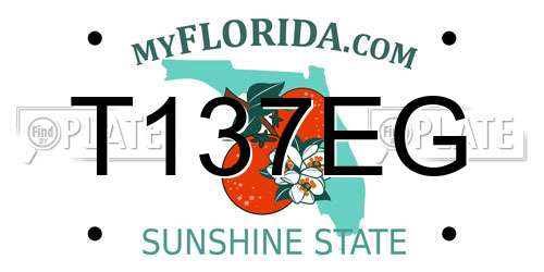T137EG Florida License Plate