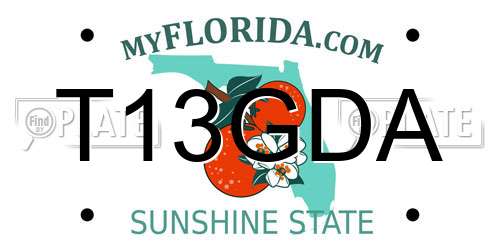 T13GDA Florida License Plate