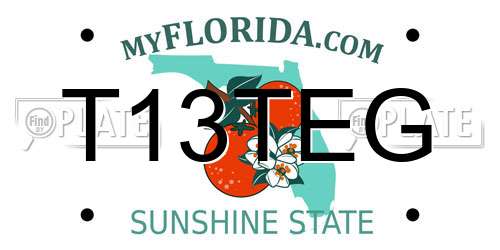 T13TEG Florida License Plate