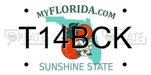 T14BCK Florida License Plate