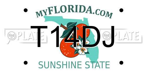 T14DJ Florida License Plate