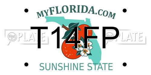 T14FP Florida License Plate