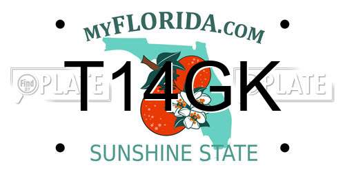 T14GK Florida License Plate