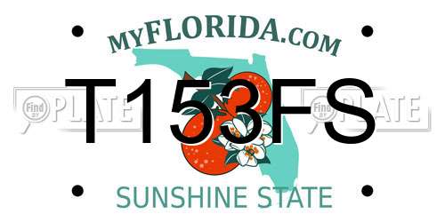 T153FS Florida License Plate
