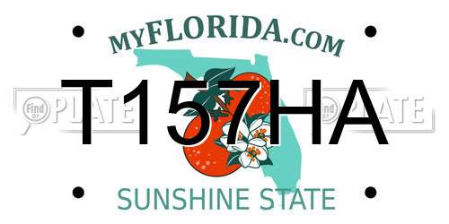 T157HA Florida License Plate