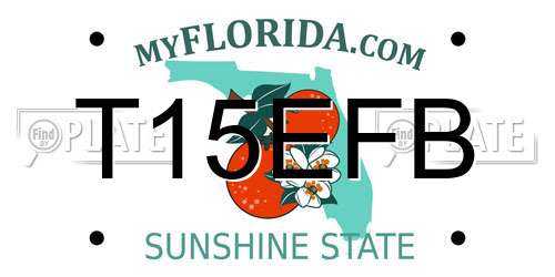 T15EFB Florida License Plate
