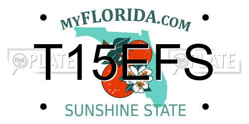 T15EFS Florida License Plate