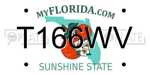 T166WV Florida License Plate