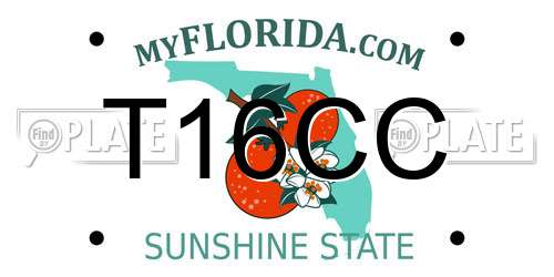 T16CC Florida License Plate