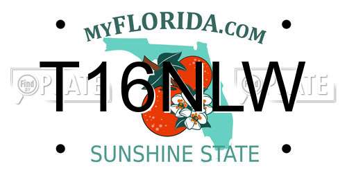 T16NLW Florida License Plate