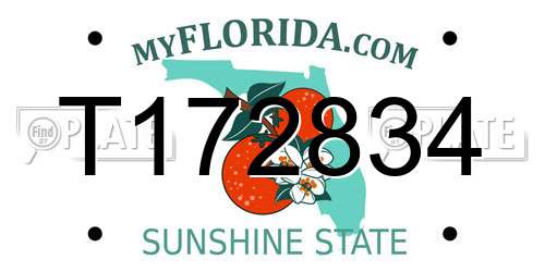 T172834 Florida License Plate