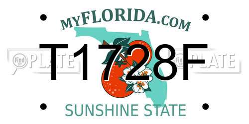 T1728F Florida License Plate