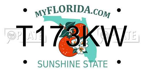 T173KW Florida License Plate