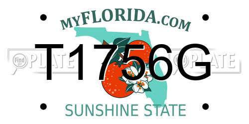 T1756G Florida License Plate