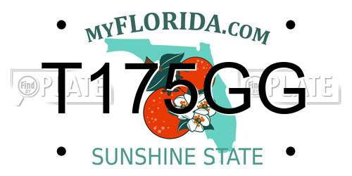 T175GG Florida License Plate