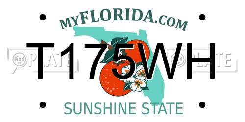 T175WH Florida License Plate