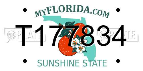 T177834 Florida License Plate